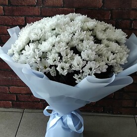 Ромашковая хризантема в дизайнерской упаковке