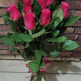 9 красных роз под ленту