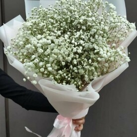 Белая гипсофила в матовой плёнке