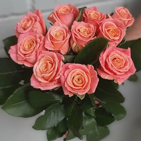 11 коралловых роз