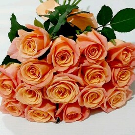 15 коралловых роз