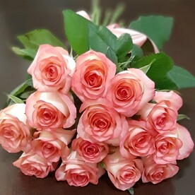 15 роз Джумилии