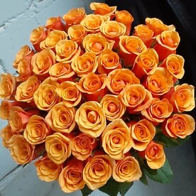 51 роза ИСПАНИЯ