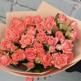 Кустовые розы