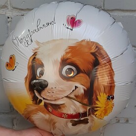 Шар фольгированный с гелием ПОЗДРАВЛЯЮ