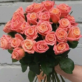 25 коралловых роз