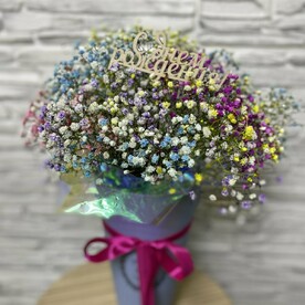 Радужная гипсофила