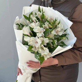 7 альстромерий