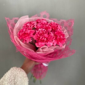 Букет розовых диантусов