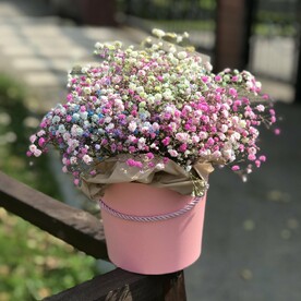 Коробочка с гипсофилой