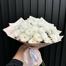 15 хризантем