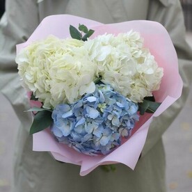 Букет из 3 гортензий белого и голубого цвета