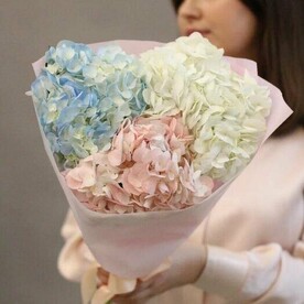 Букет из 3 разноцветных гортензий