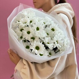 Букет из Ромашковидной хризантемы «Нежное Облако»