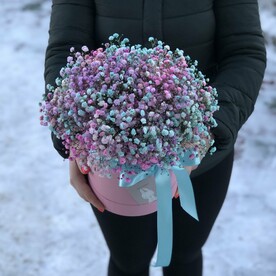 Коробочка гипсофилы