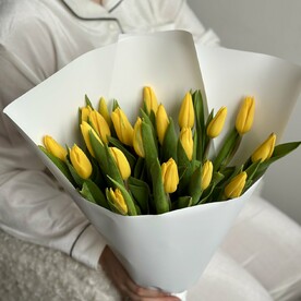 Солнечные тюльпаны