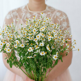Букет из 15 Ромашек