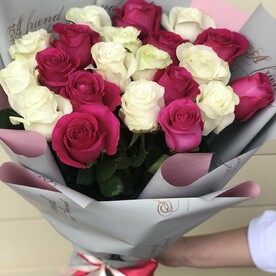 21 белая и розовая Роза