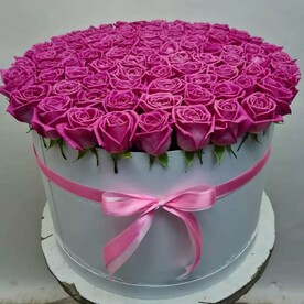 101 в коробке