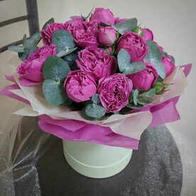 Мисти королева