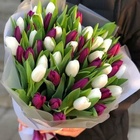 Микс Тюльпан