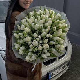 101 Белые Тюльпаны