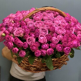 Мисти бабблс