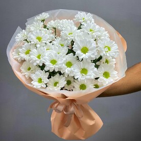 Хризантема кустовая