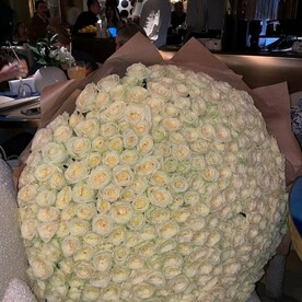 251 ароматная стойкая роза