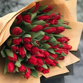 45 шт тюльпан