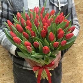 51 тюльпан красные