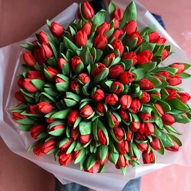 101 Тюльпанов