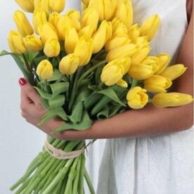 Тюльпан желтый