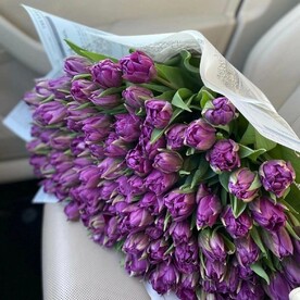 101 Пионовидные тюльпаны