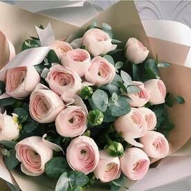 Раникулусы