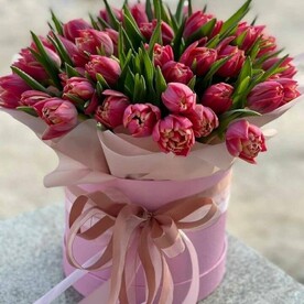 Тюльпан Колумбус