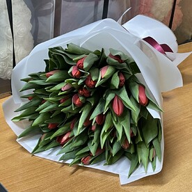 Тюльпан красный