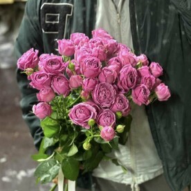 Мисти бабблс