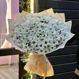 Букет из Белых ромашка видных Хризантем