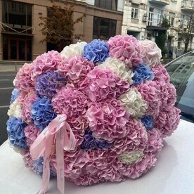 Гортензия большой букет