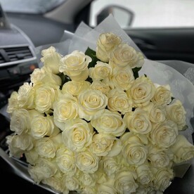 Роза премиум