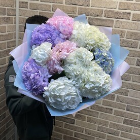 Гортензия микс 11