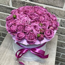 Пионовидные в коробке