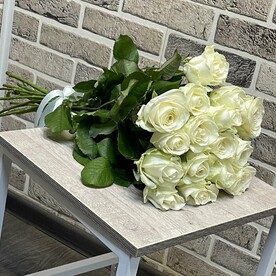 Белая Роза 15