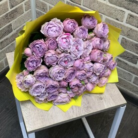 Роза кустовая