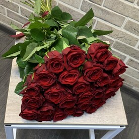 Роза красная