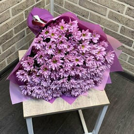 Хризантема кустовая