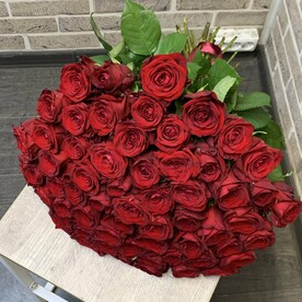 Красная Роза 61