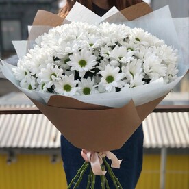 Хризантема кустовая