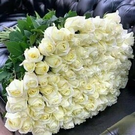 101 Роза белая